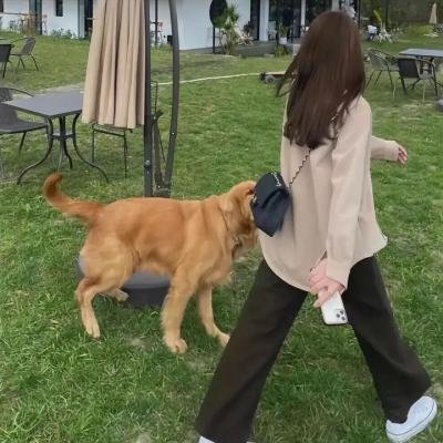 下一世情歌